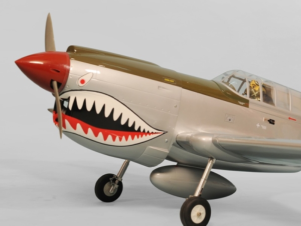 PH137 Phoenix P40 Kitty Warhawk 20CC GP/EP ARF - 161 cm